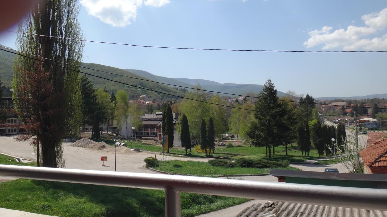 Hotel Konak Vila Mirkovic Soko Banja Exterior foto