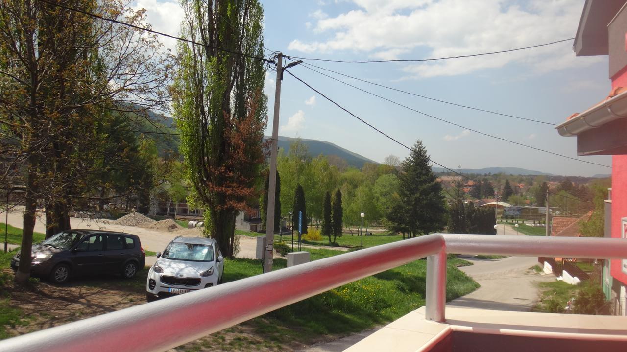 Hotel Konak Vila Mirkovic Soko Banja Exterior foto